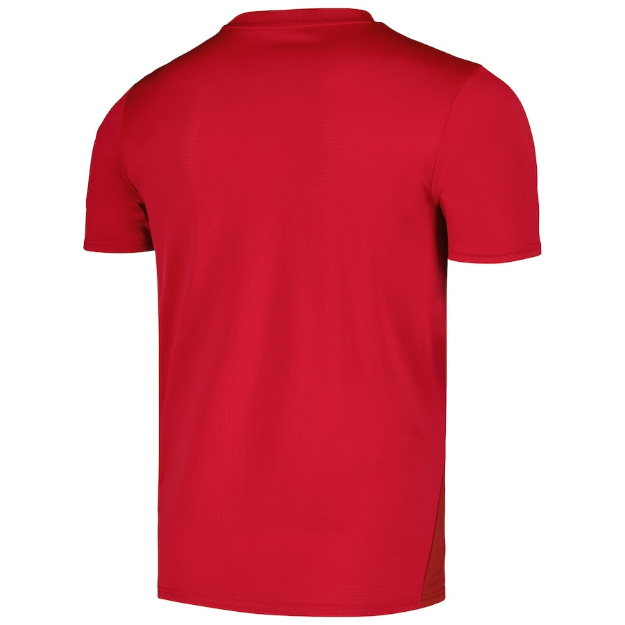 Serbia National Team 2024 Pre-Match Soccer Shirt - Red