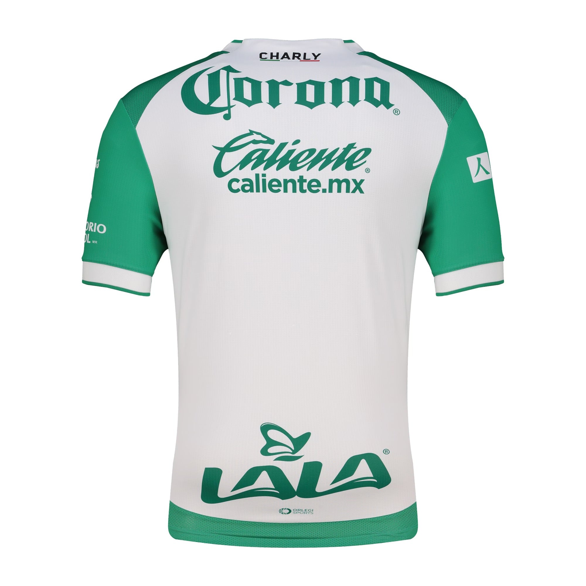 Santos Laguna Charly 2025/26 Home Authentic Soccer Shirt - Green