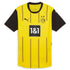 Borussia Dortmund  2024/2025 Home Customized Soccer Shirt - Yellow