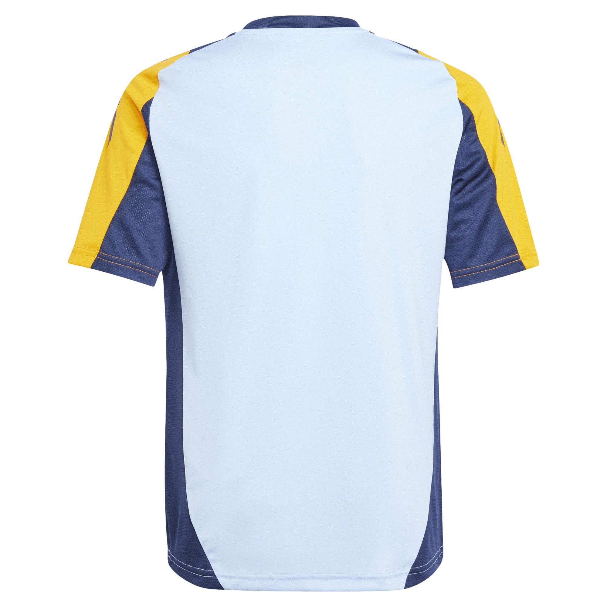Real Madrid  2024/2025 Training Soccer Shirt - Light Blue