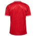 Denmark National Team 2024 Home Customized Soccer Shirt - Red
