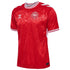 Denmark National Team 2024 Home Customized Soccer Shirt - Red