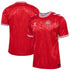 Denmark National Team 2024 Home Customized Soccer Shirt - Red