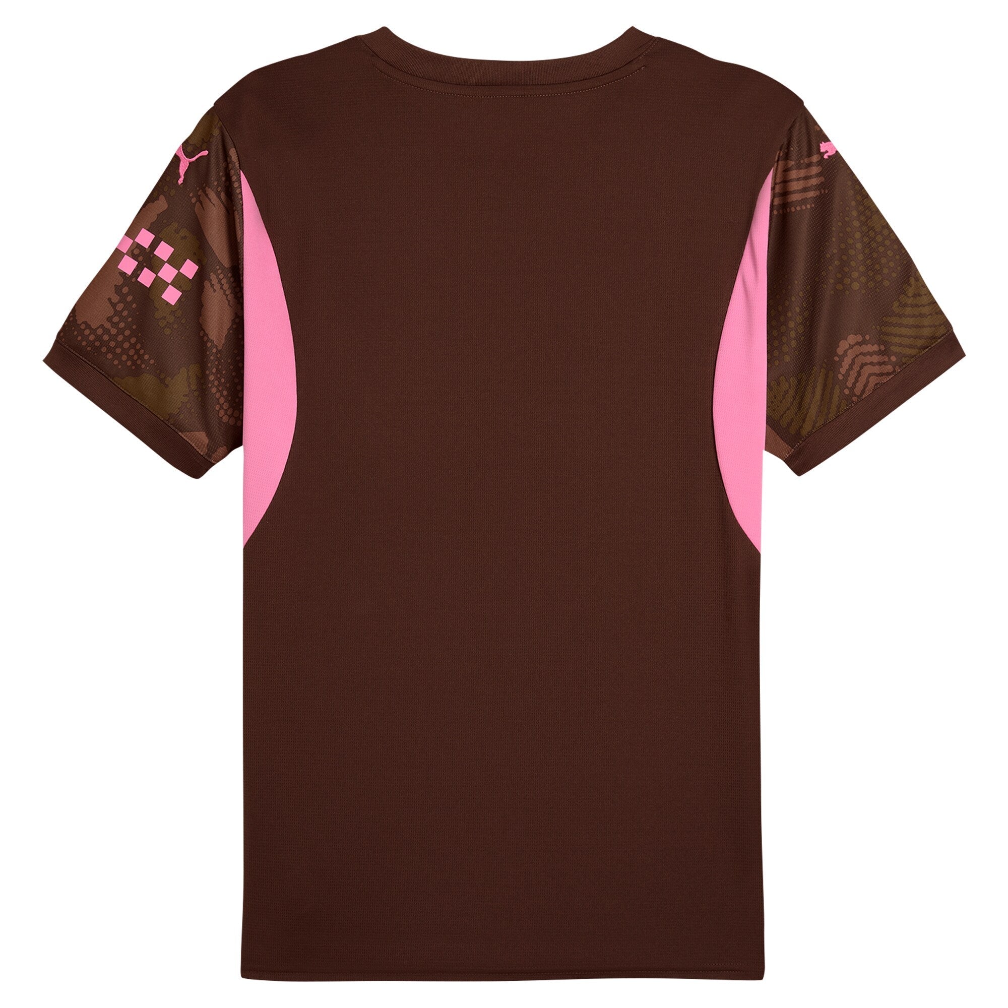 Manchester City  2024/2025 Short Sleeve Goalkeeper Customized Soccer Shirt - Brown