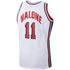 Mitchell & Ness Karl Malone USA Basketball 1992 Dream Team Authentic Jersey – White