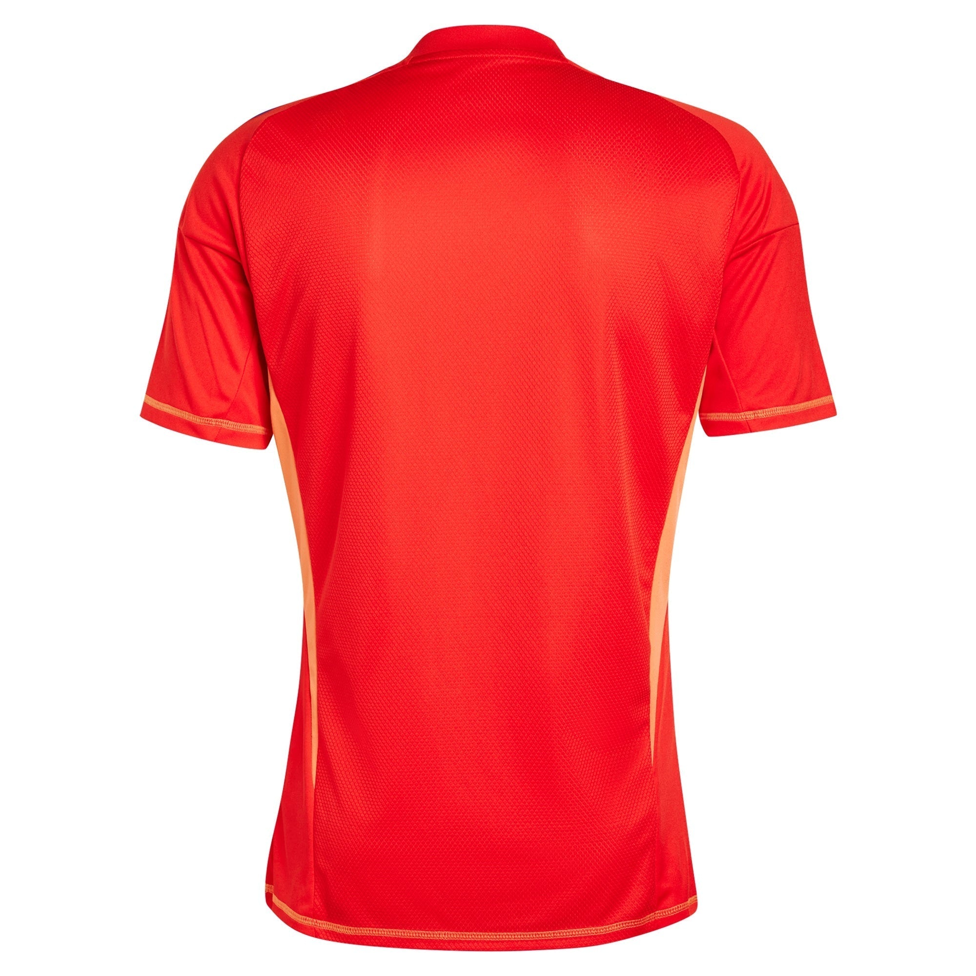 Juventus Goalkeeper Shirt 2024-25 Custom Soccer Shirt - Red
