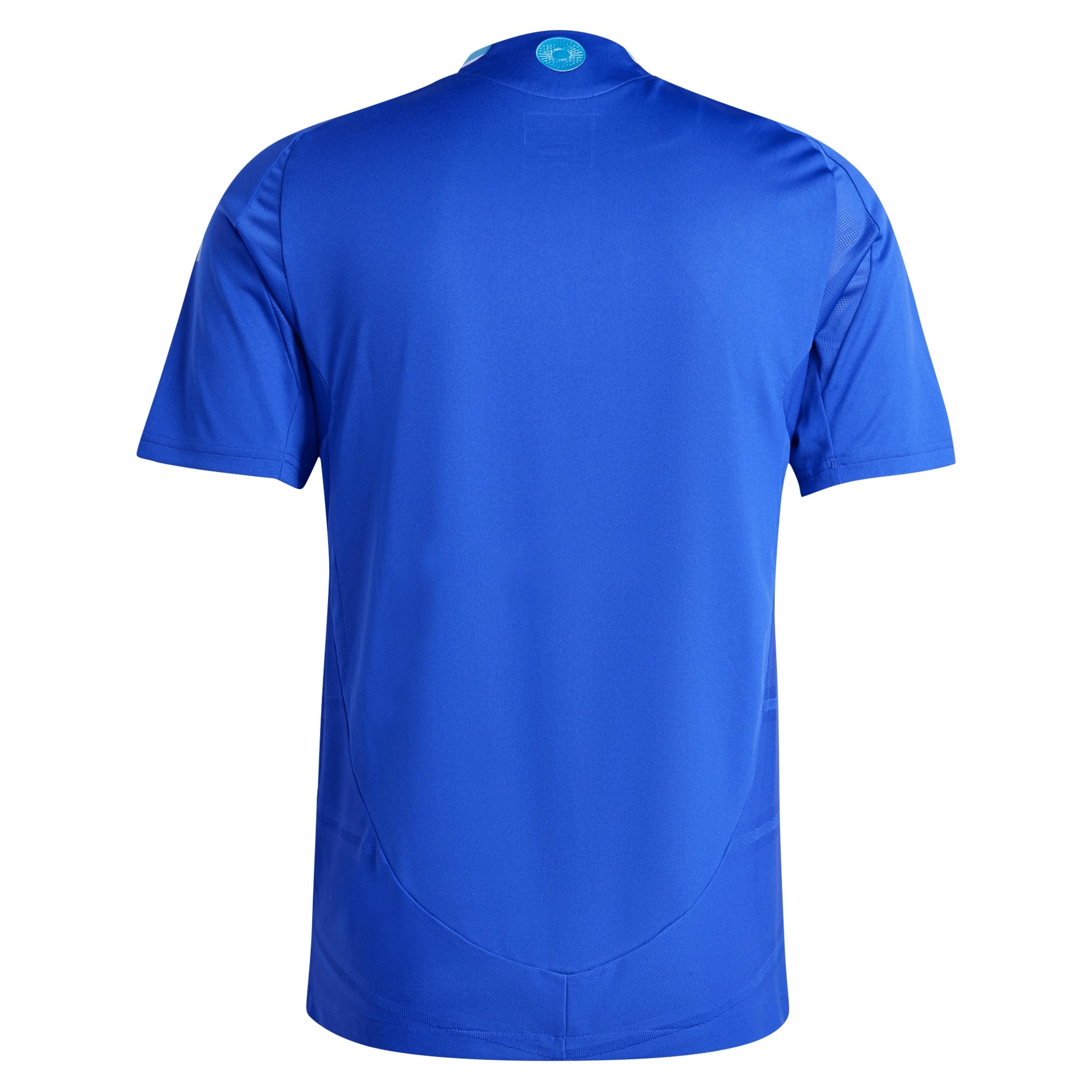 Argentina National Team  2024 Away Customized Soccer Shirt - Blue