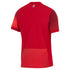 Poland Away Stadium Shirt - 2024 Custom Soccer Shirt - Red